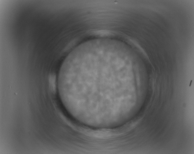 X0000081310024200702082122