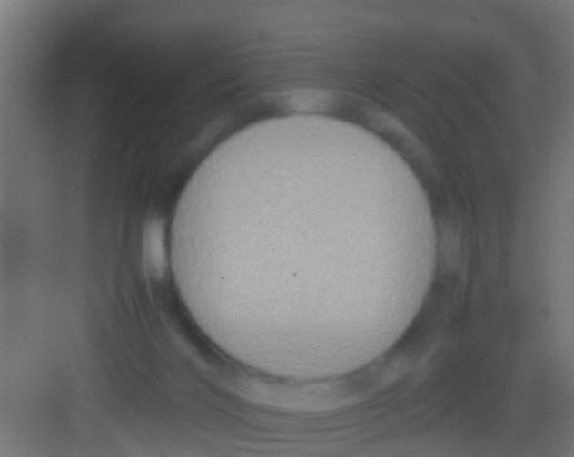 X0000081310028200702082122