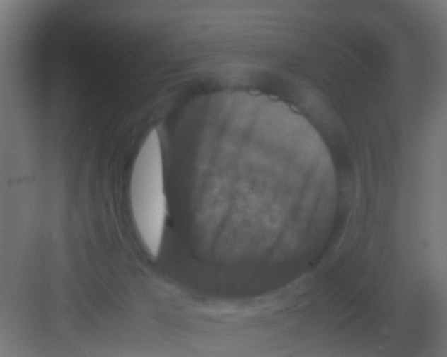 X0000081310029200702082122