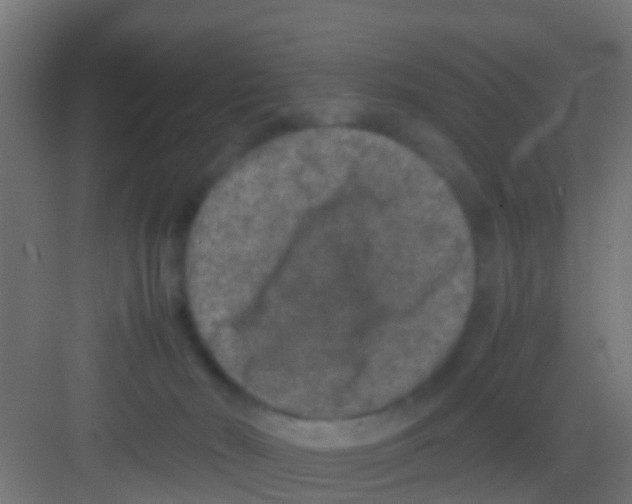 X0000081310030200702082122