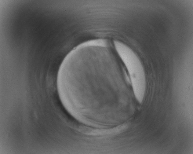 X0000081310031200702082122