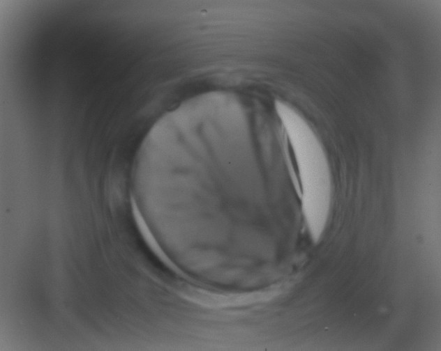 X0000081310035200702082122