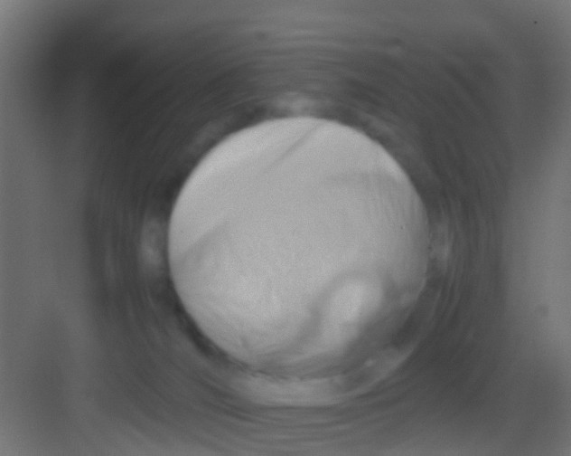 X0000081310036200702082122