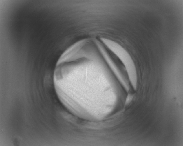 X0000081310037200702082122