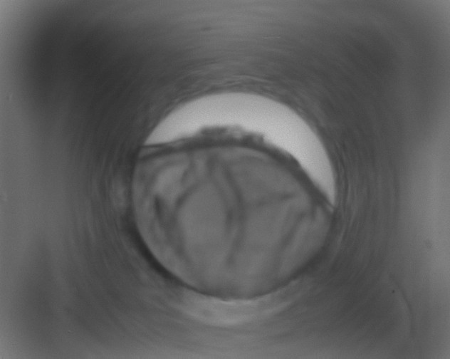 X0000081310039200702082122