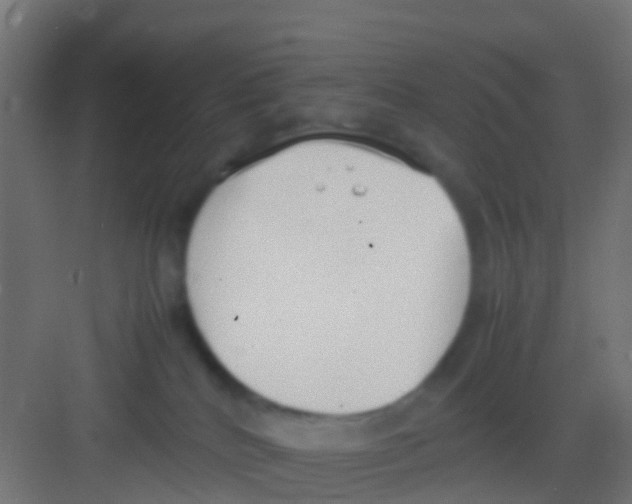 X0000081310040200702082122