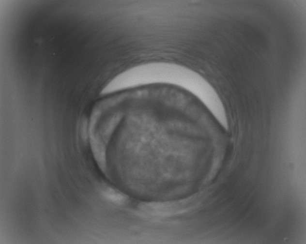 X0000081310041200702082122