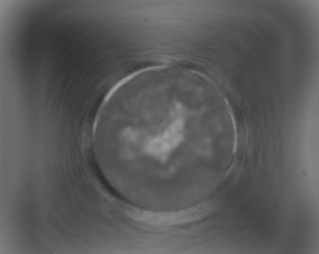 X0000081310043200702082121