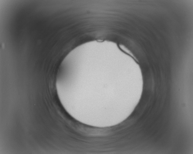 X0000081310044200702082121