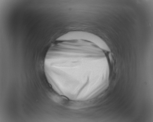 X0000081310045200702082121