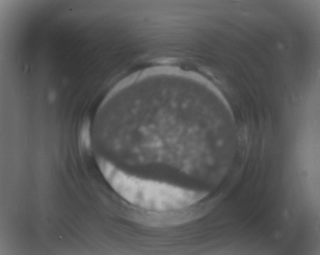 X0000081310046200702082121