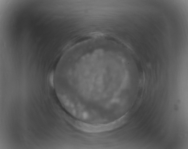 X0000081310047200702082121