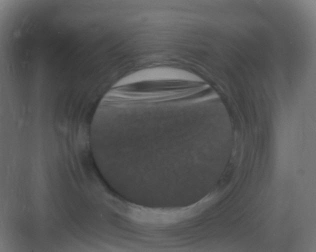 X0000081310048200702082121