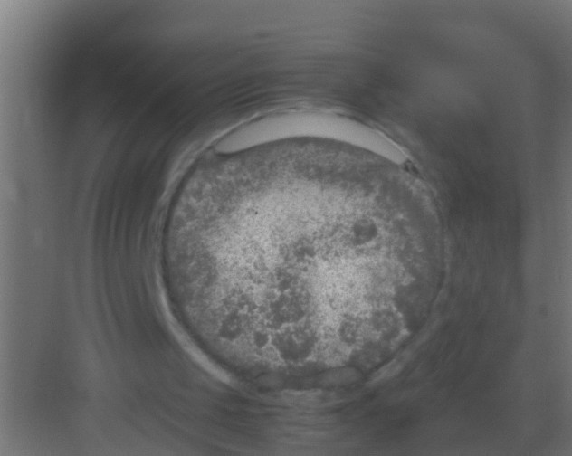 X0000081310049200702082121