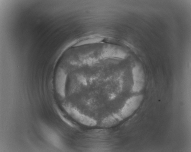 X0000081310050200702082121