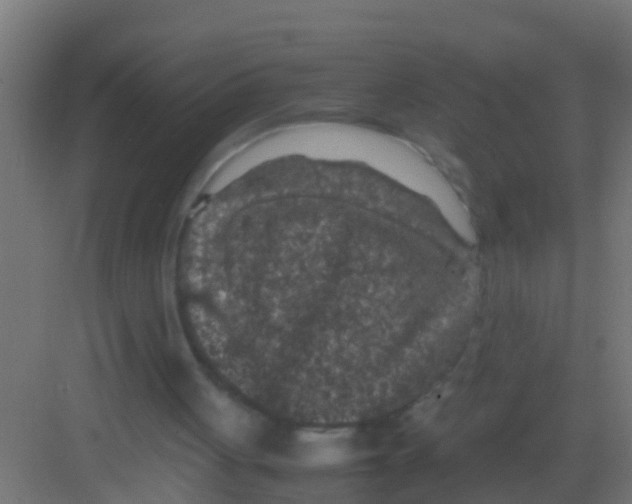 X0000081310051200702082121