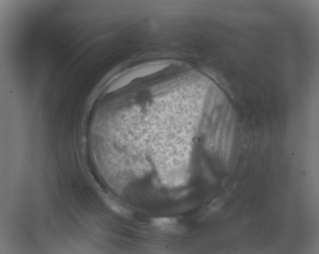 X0000081310053200702082121