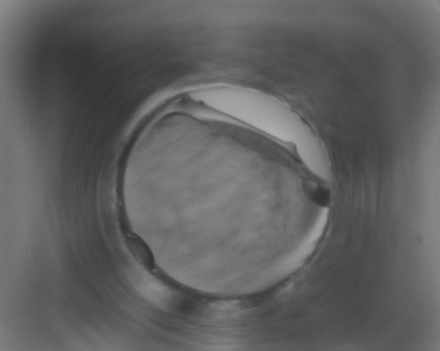 X0000081310054200702082121