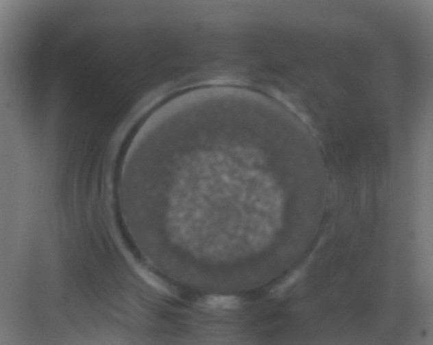 X0000081310055200702082121