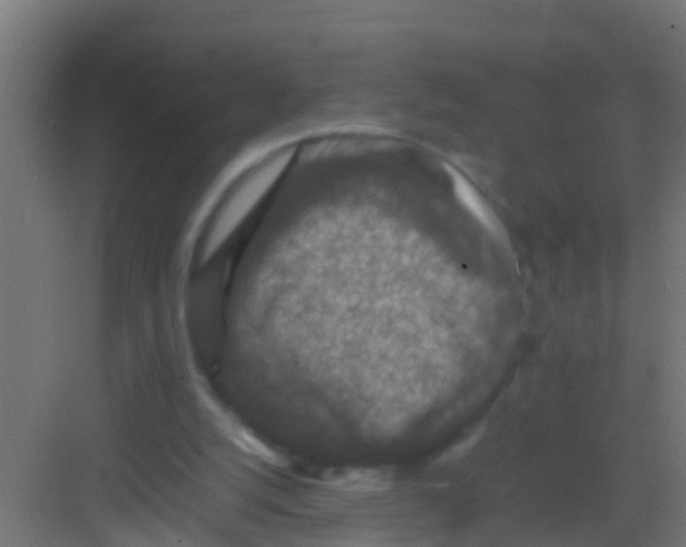 X0000081310056200702082121