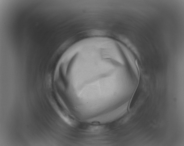 X0000081310057200702082121