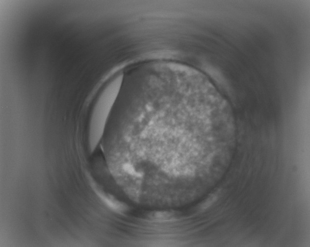 X0000081310060200702082121