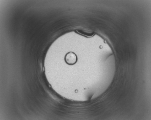 X0000081310061200702082121