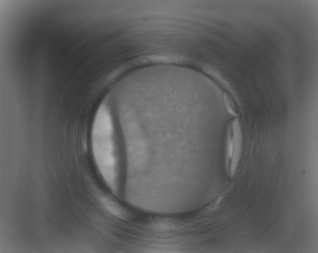 X0000081310062200702082121