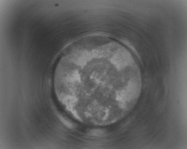 X0000081310063200702082121