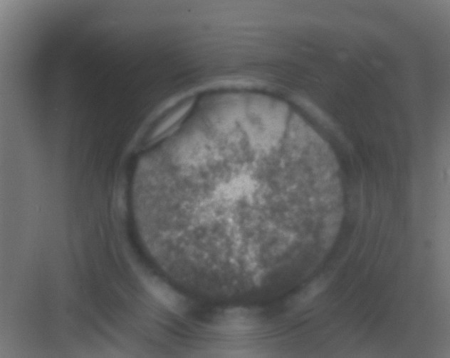 X0000081310064200702082121