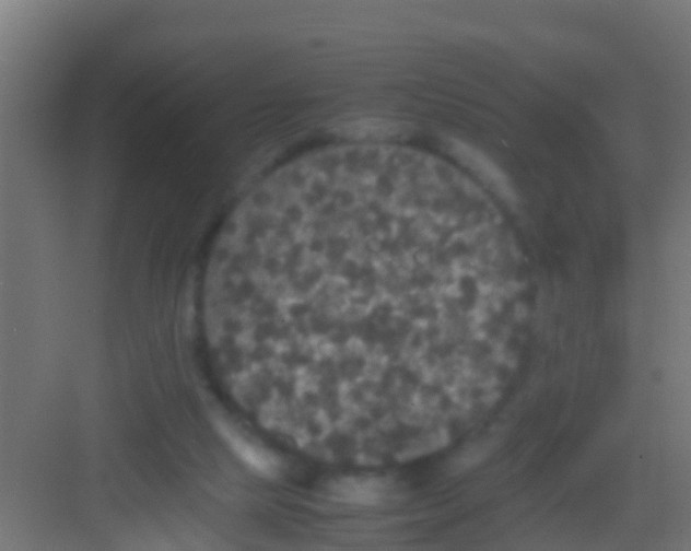 X0000081310065200702082121