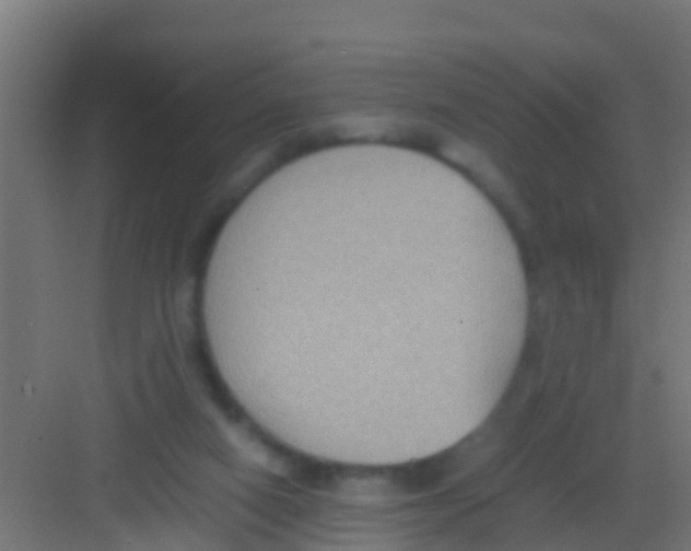 X0000081310066200702082121