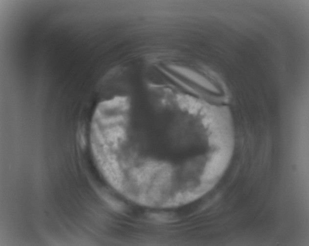 X0000081310069200702082121