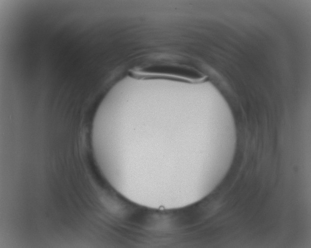 X0000081310071200702082121