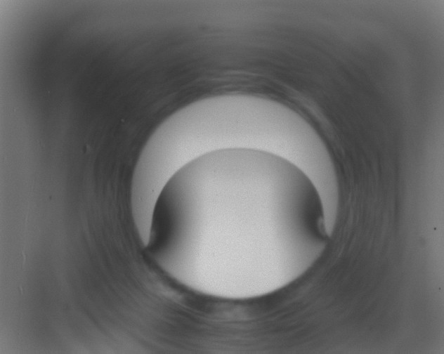 X0000081310073200702082121