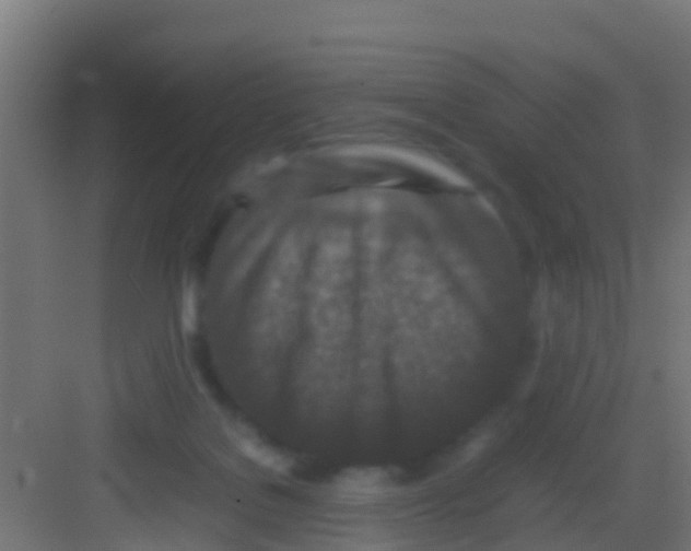 X0000081310076200702082121