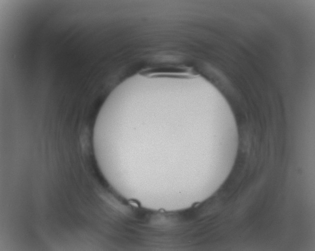 X0000081310077200702082121