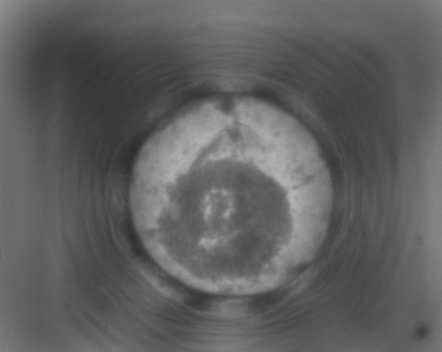 X0000081310078200702082121