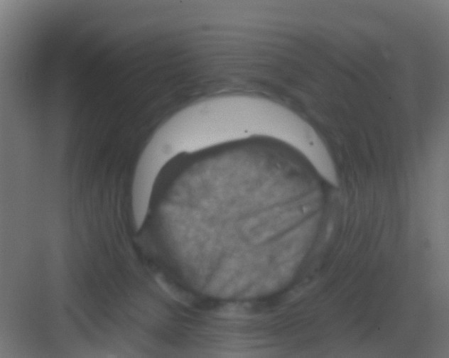 X0000081310080200702082121