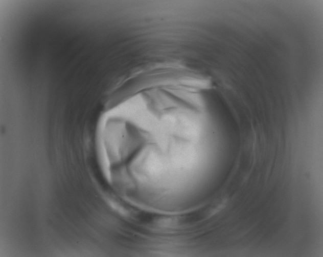 X0000081310084200702082121