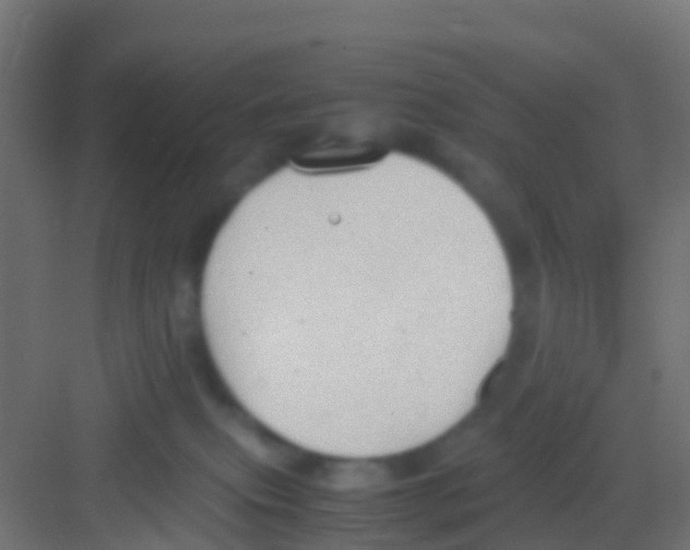 X0000081310087200702082121