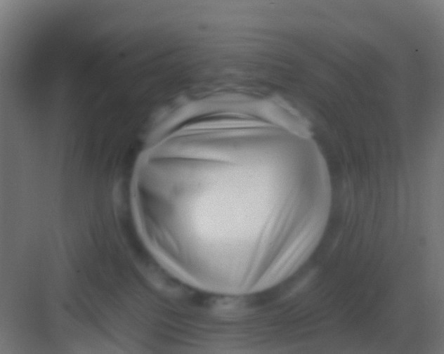 X0000081310088200702082121