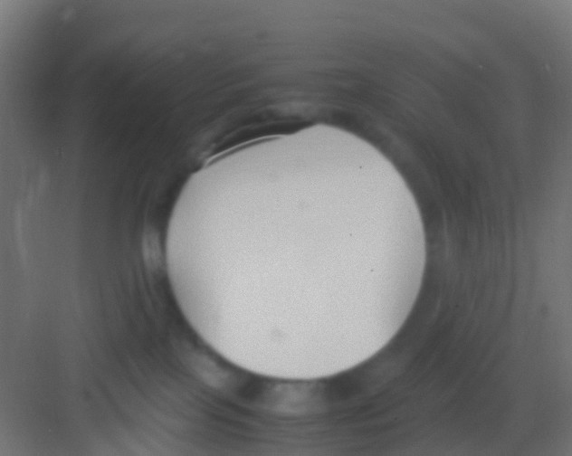 X0000081310089200702082121