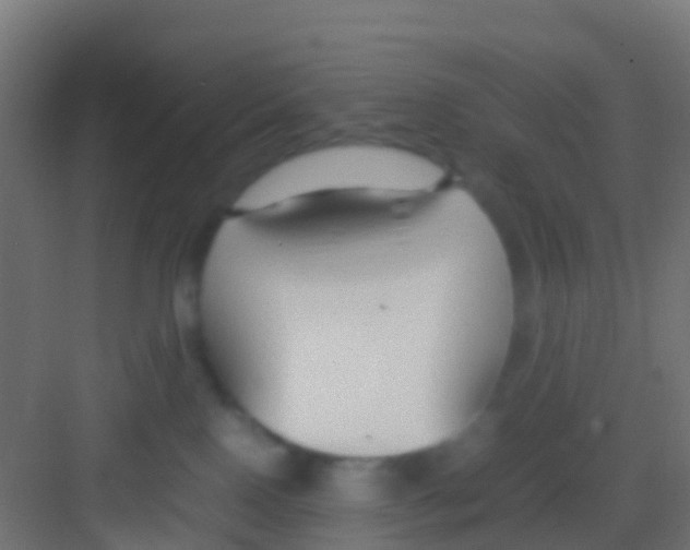 X0000081310090200702082121