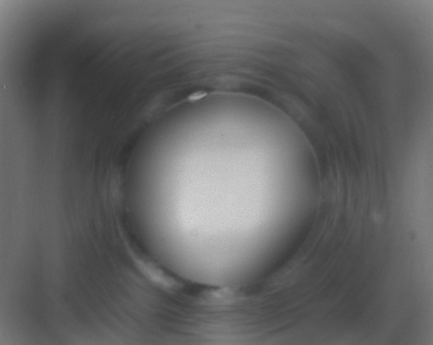 X0000081310092200702082121