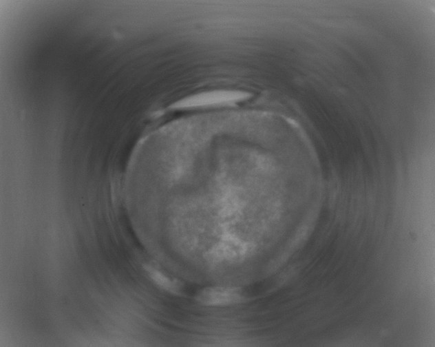 X0000081310093200702082121