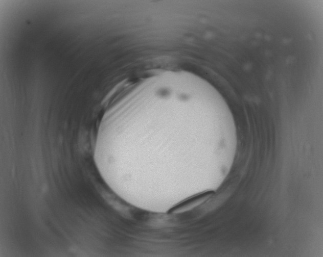 X0000081310096200702082121