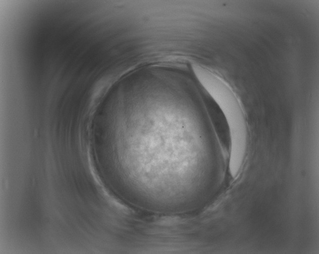 X0000081310097200702082121