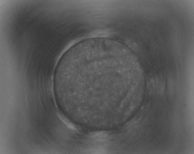 X0000081310100200702082121