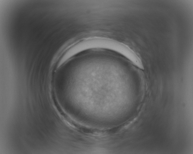 X0000081310101200702082121